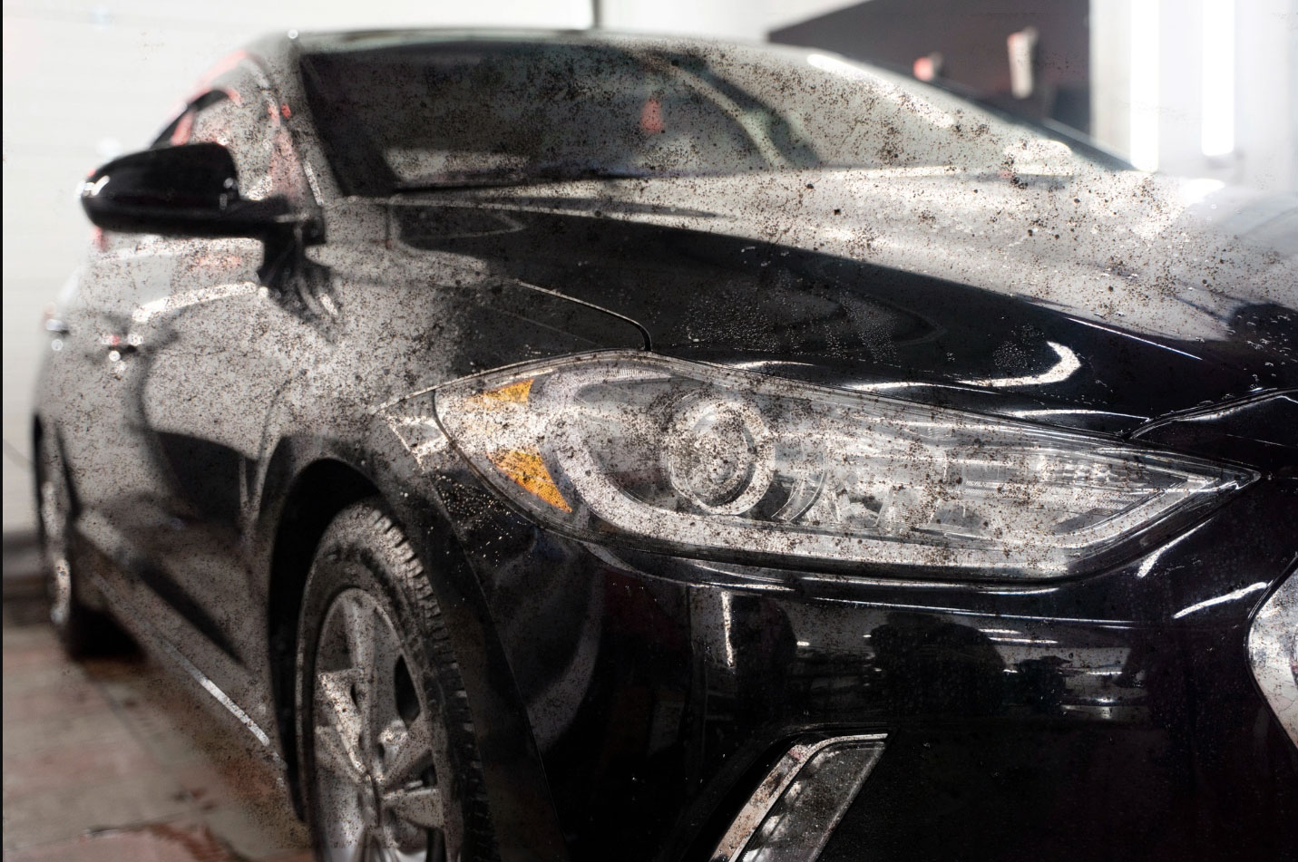 Before paint correction with swirl marks and dullness